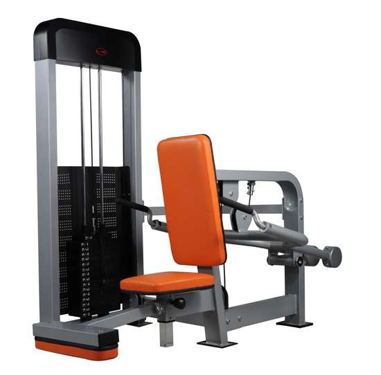 Triceps Trainers 