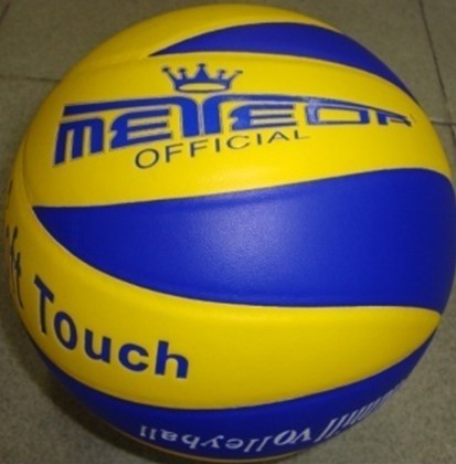 VOLLEYBALL MT-350