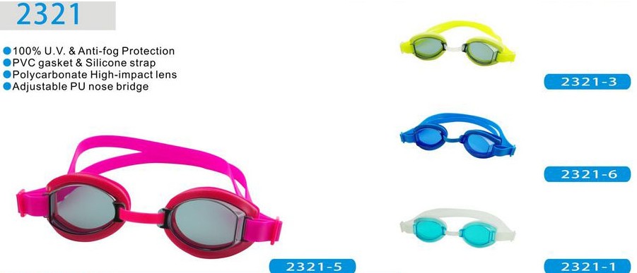 GOGGLES-WF2312