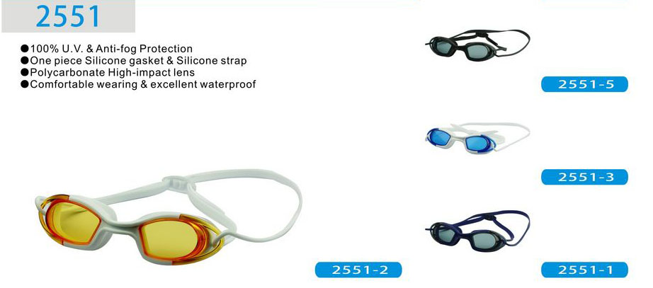 GOGGLES-WF2551