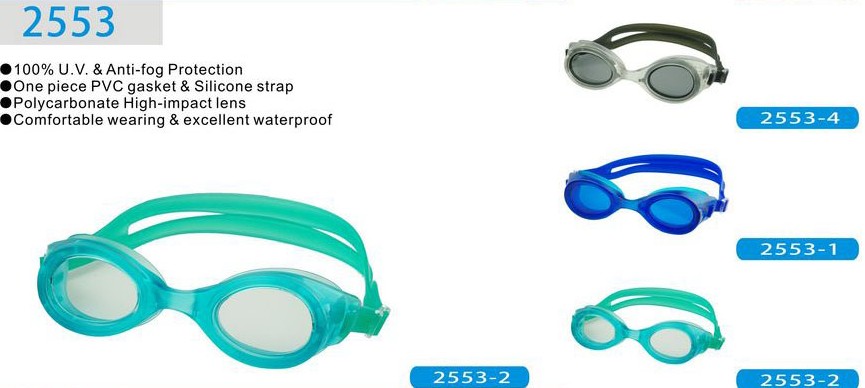 GOGGLES-WF2553