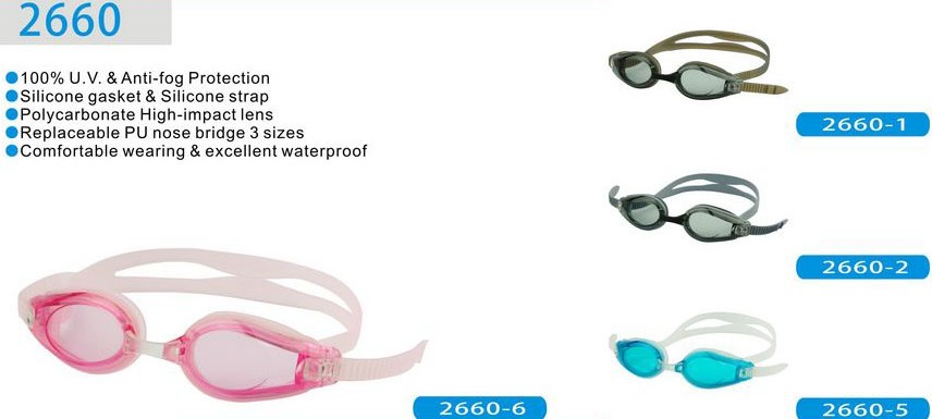 GOGGLES-WF2660