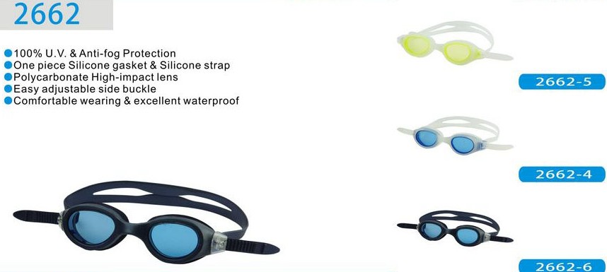 GOGGLES-WF2662