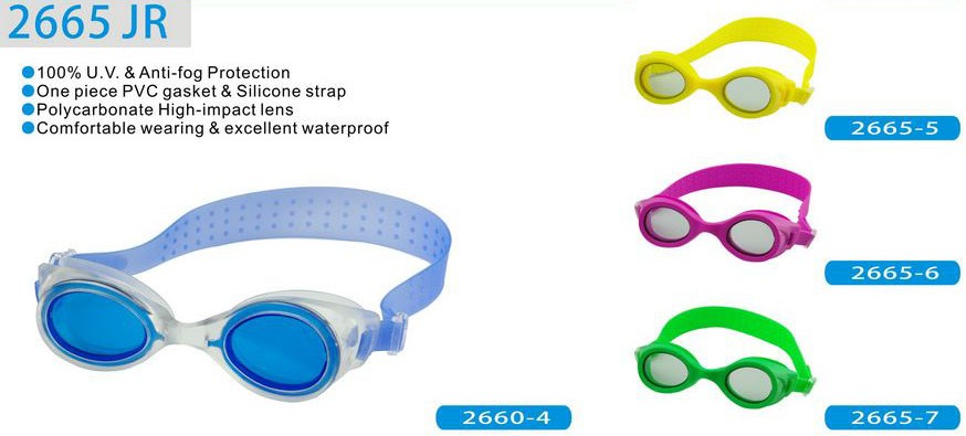 GOGGLES-WF2665JR