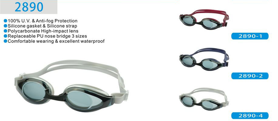 GOGGLES-WF2890
