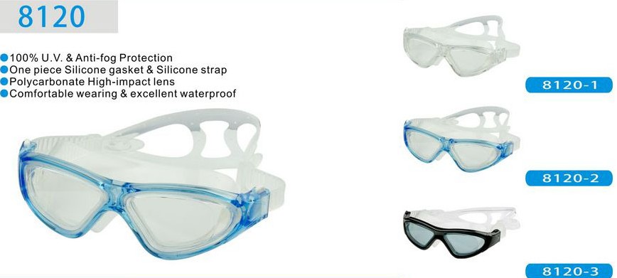 GOGGLES-WF8120