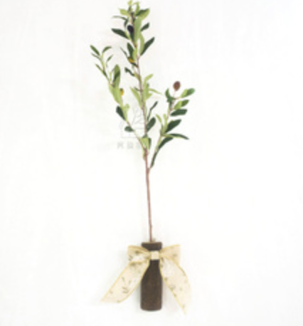 WFDECORATION1613