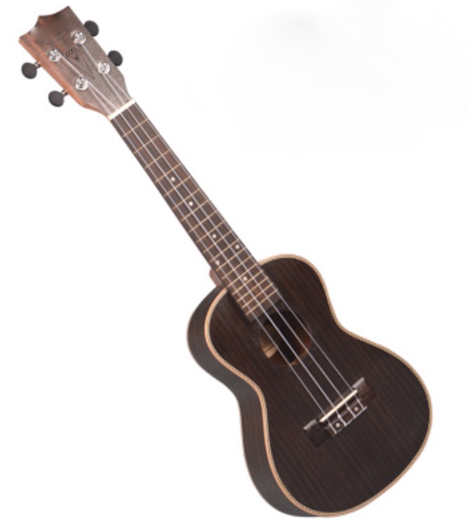 WFGUITAR1635b