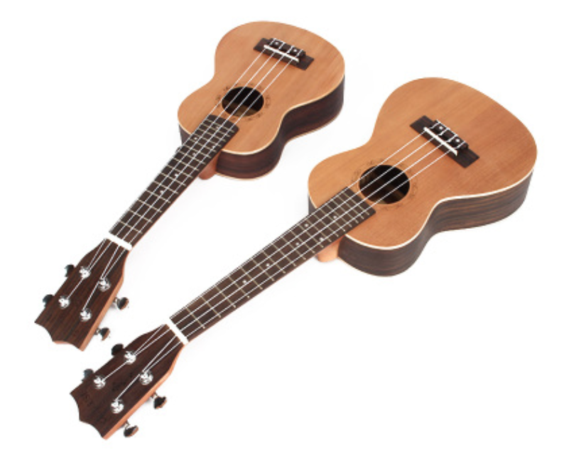 WFGUITAR1640
