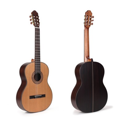 WFGUITAR1646