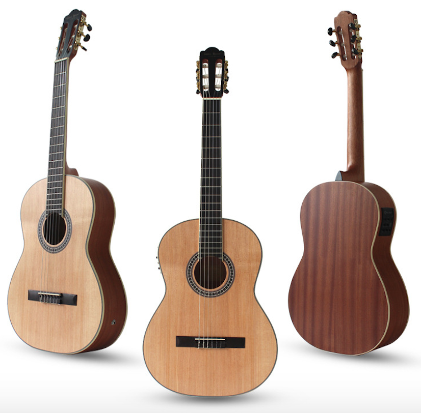 WFGUITAR1649