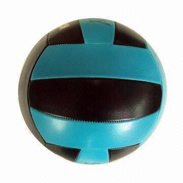 VOLLEYBALL-WFVBC02