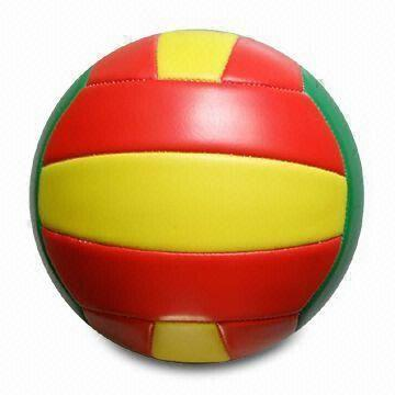VOLLEYBALL-WFVBC06