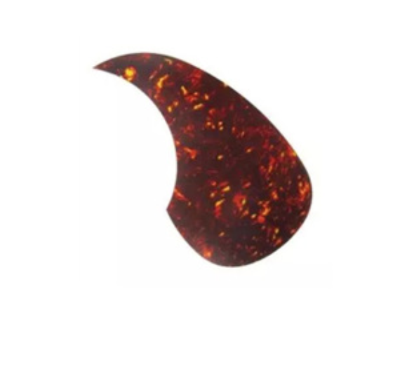 WFVIOLIN1624